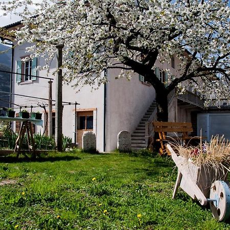 B&B La Fosina Меццоломбардо Экстерьер фото