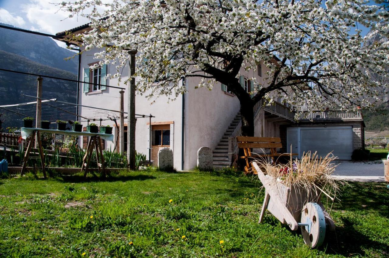 B&B La Fosina Меццоломбардо Экстерьер фото